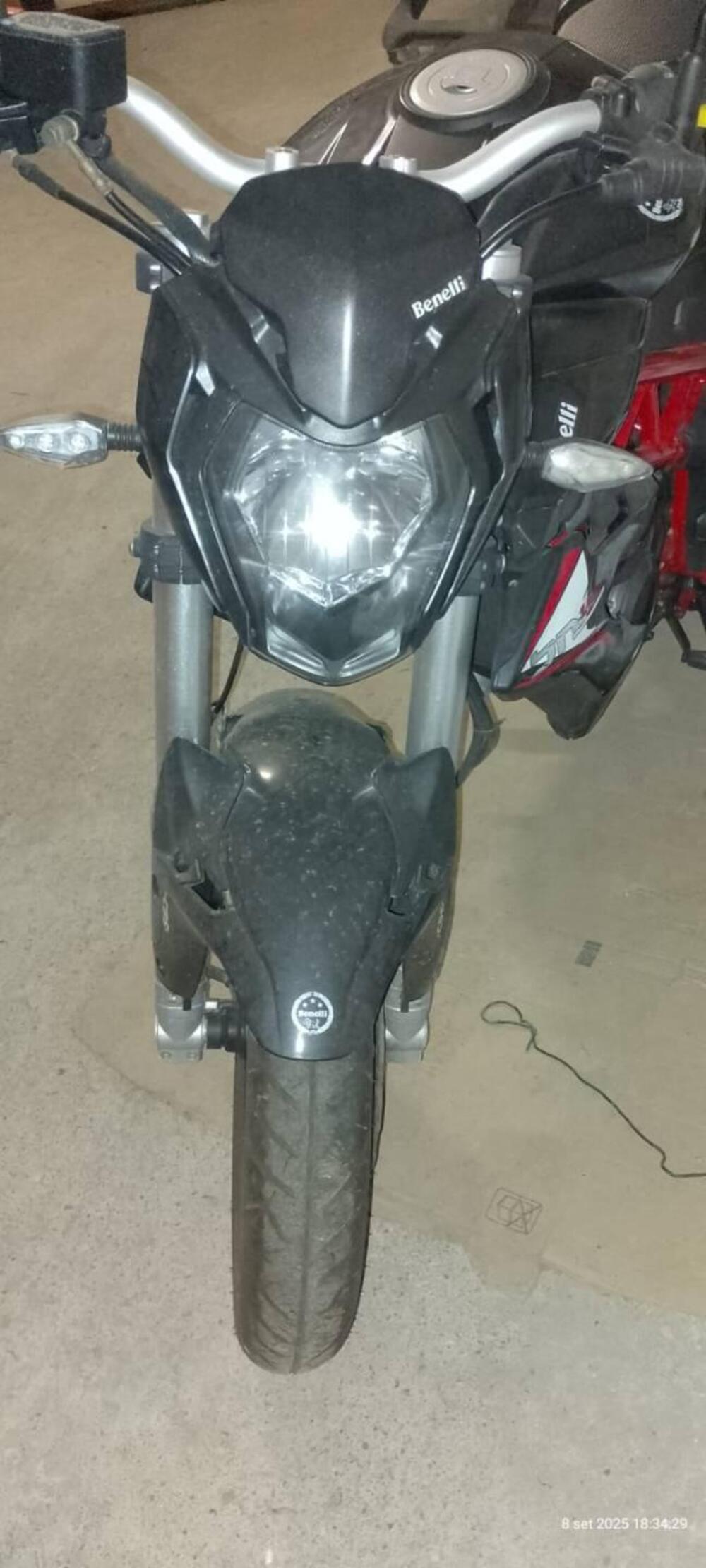 Benelli BN 125 (2018 - 20) (5)