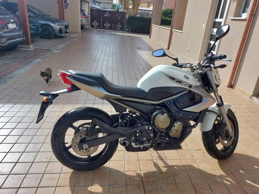 Yamaha XJ6 (2008 - 15) (4)