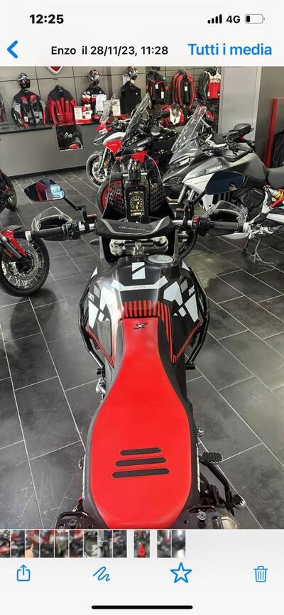 Ducati DesertX (2022 - 25) usata