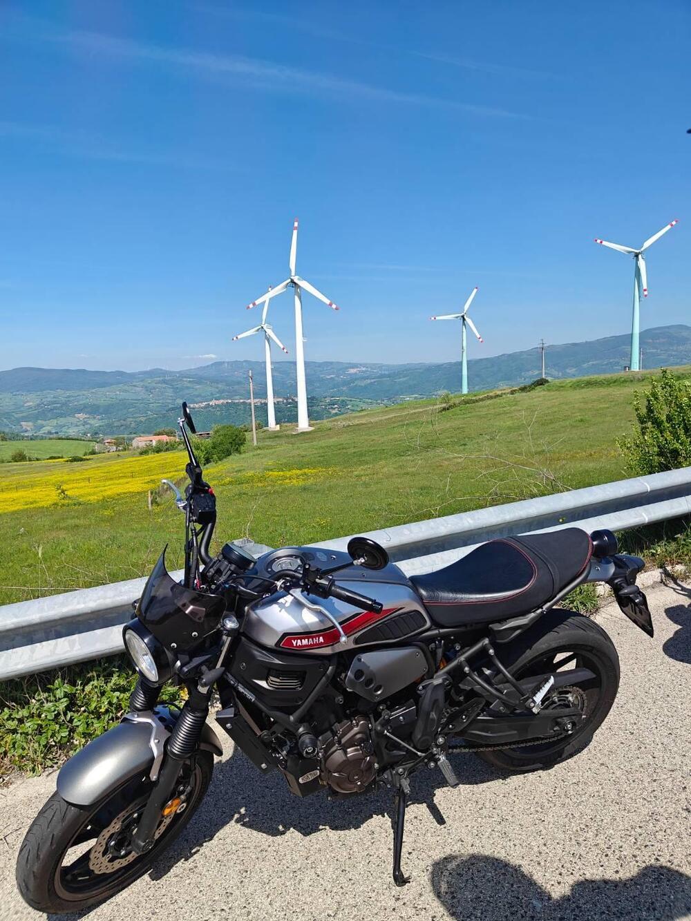 Yamaha XSR 700 ABS (2016 - 20)