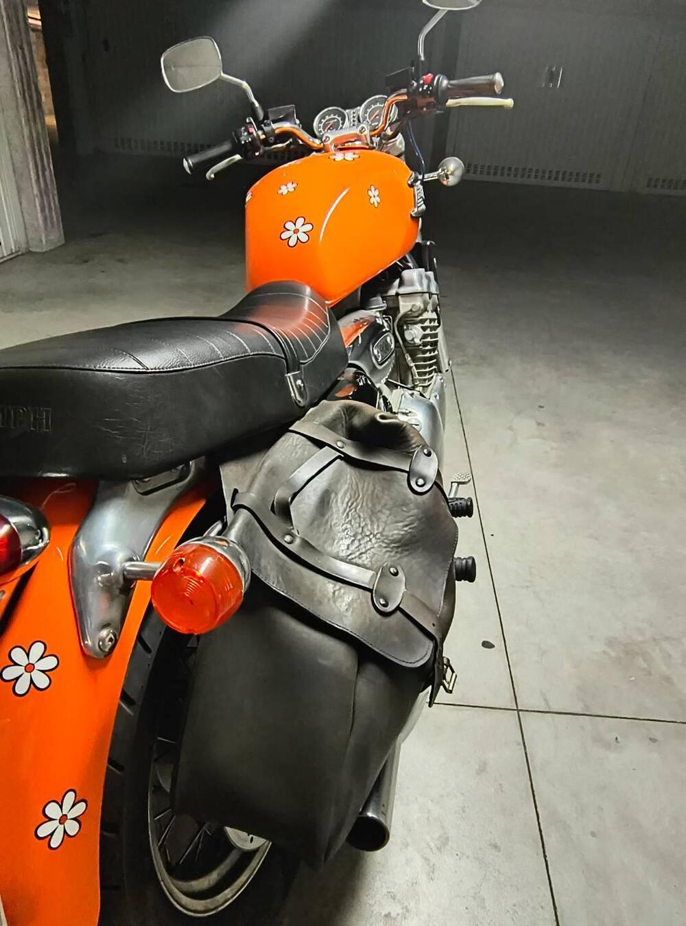 Triumph Thunderbird  (5)