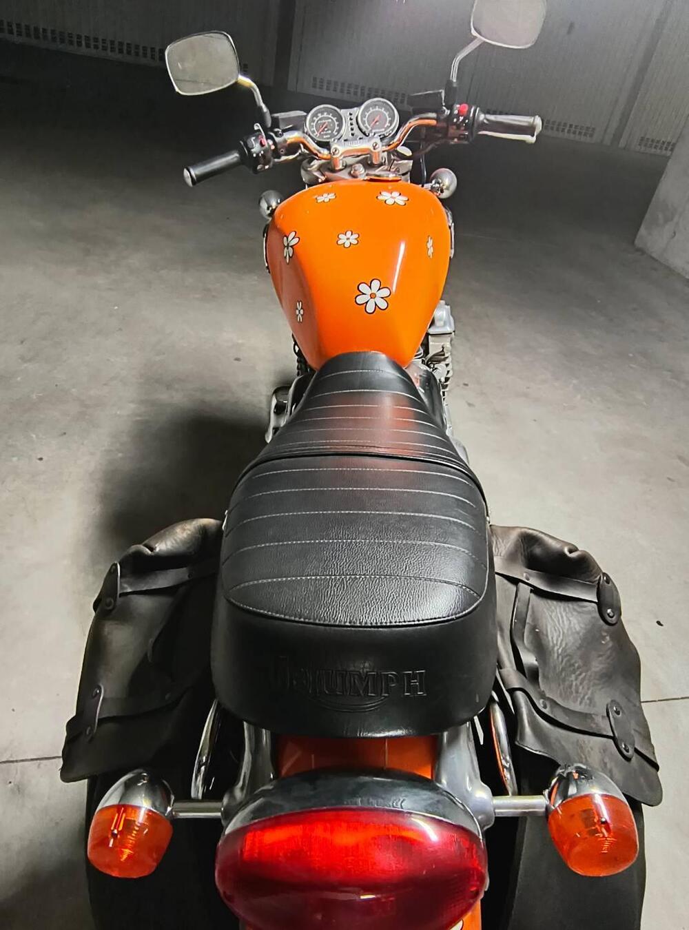 Triumph Thunderbird  (6)