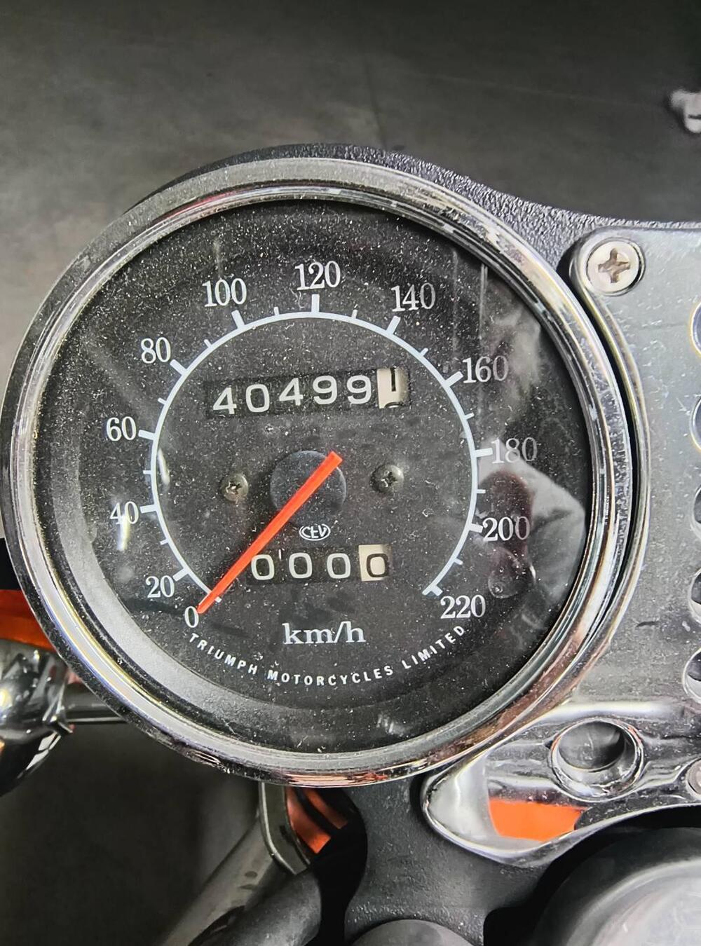 Triumph Thunderbird  (12)