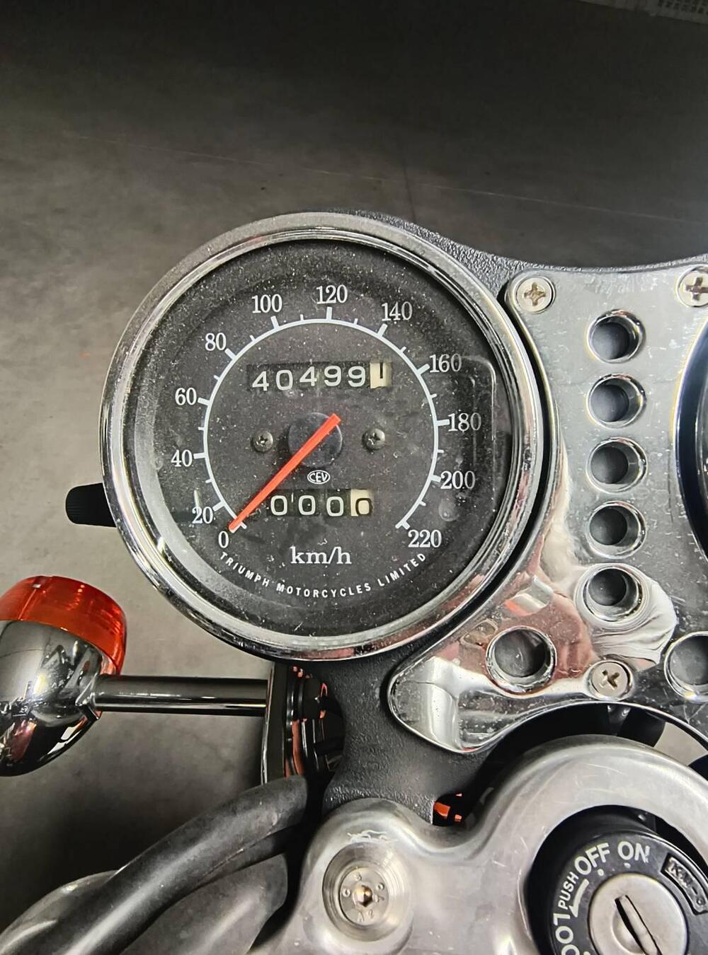 Triumph Thunderbird  (13)