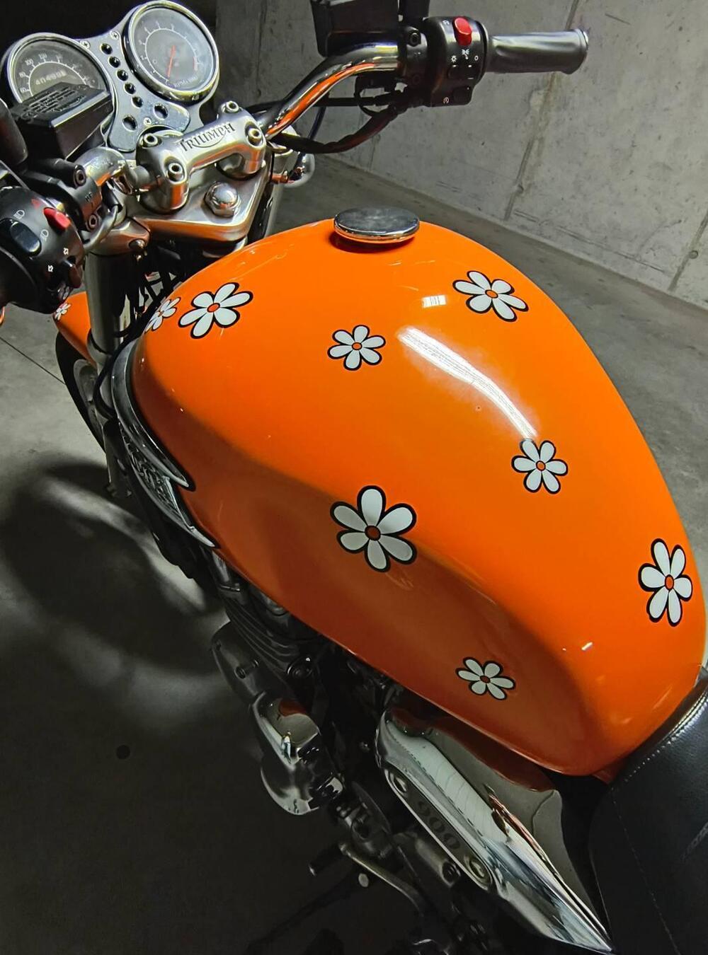 Triumph Thunderbird 900 (1995 - 01) (6)