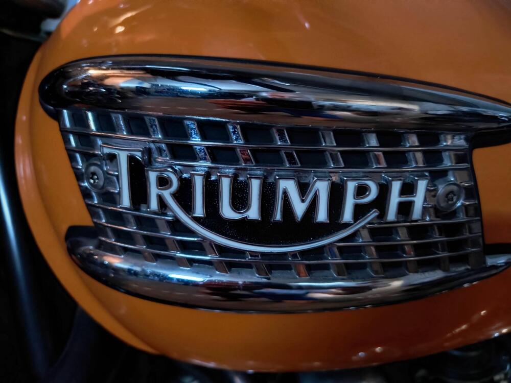 Triumph Thunderbird 900 (1995 - 01) (8)