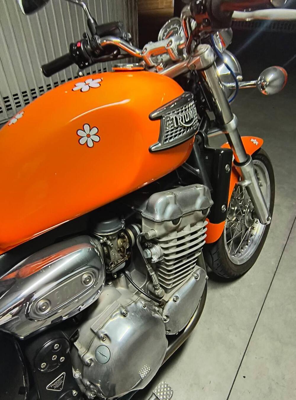 Triumph Thunderbird 900 (1995 - 01) (9)