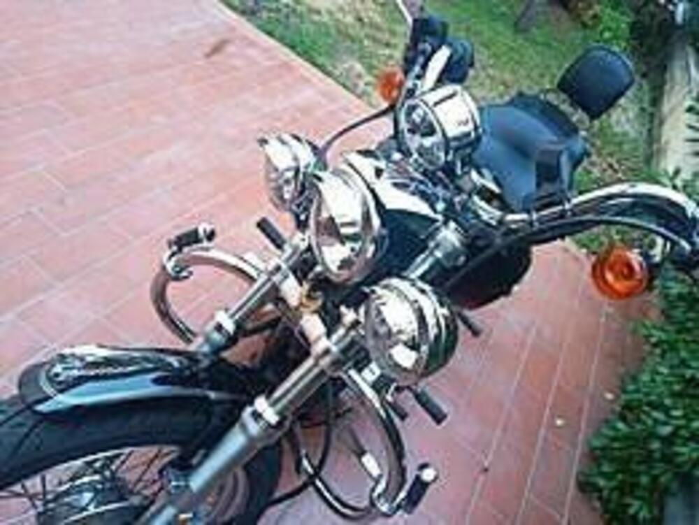 Harley-Davidson 1200 Low (2008 - 09) - XL 1200L (2)