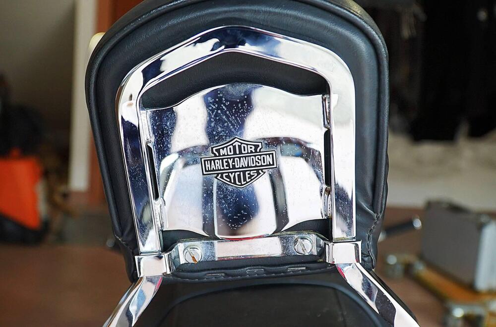 Harley-Davidson 1200 Low (2008 - 09) - XL 1200L (13)