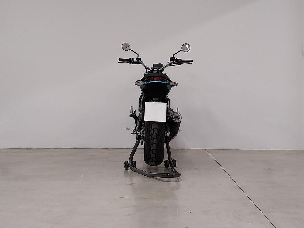 Ducati Scrambler 800 Icon (2023 - 24) (4)