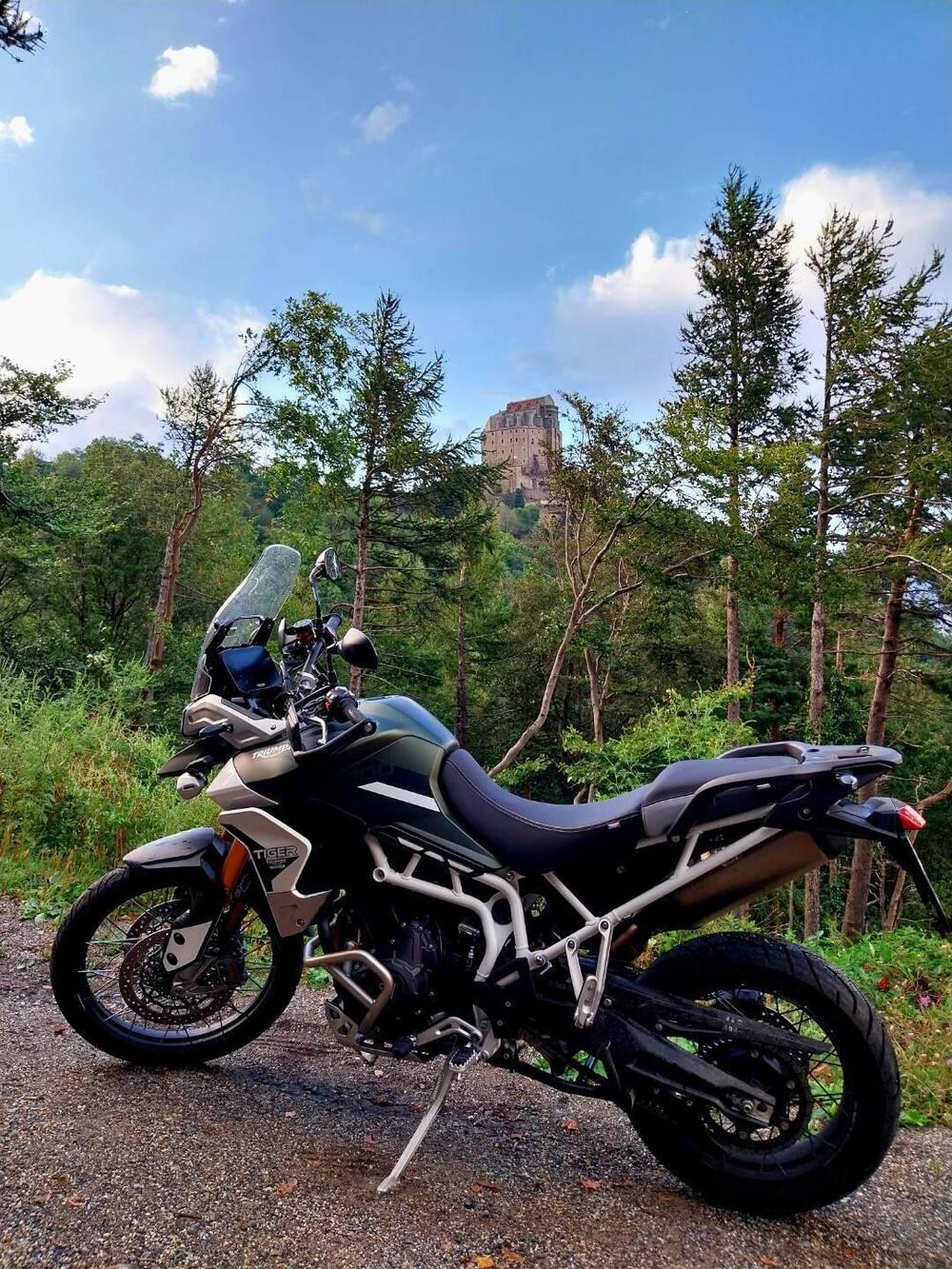 Triumph Tiger 900 Rally Pro (2020 - 23) (2)