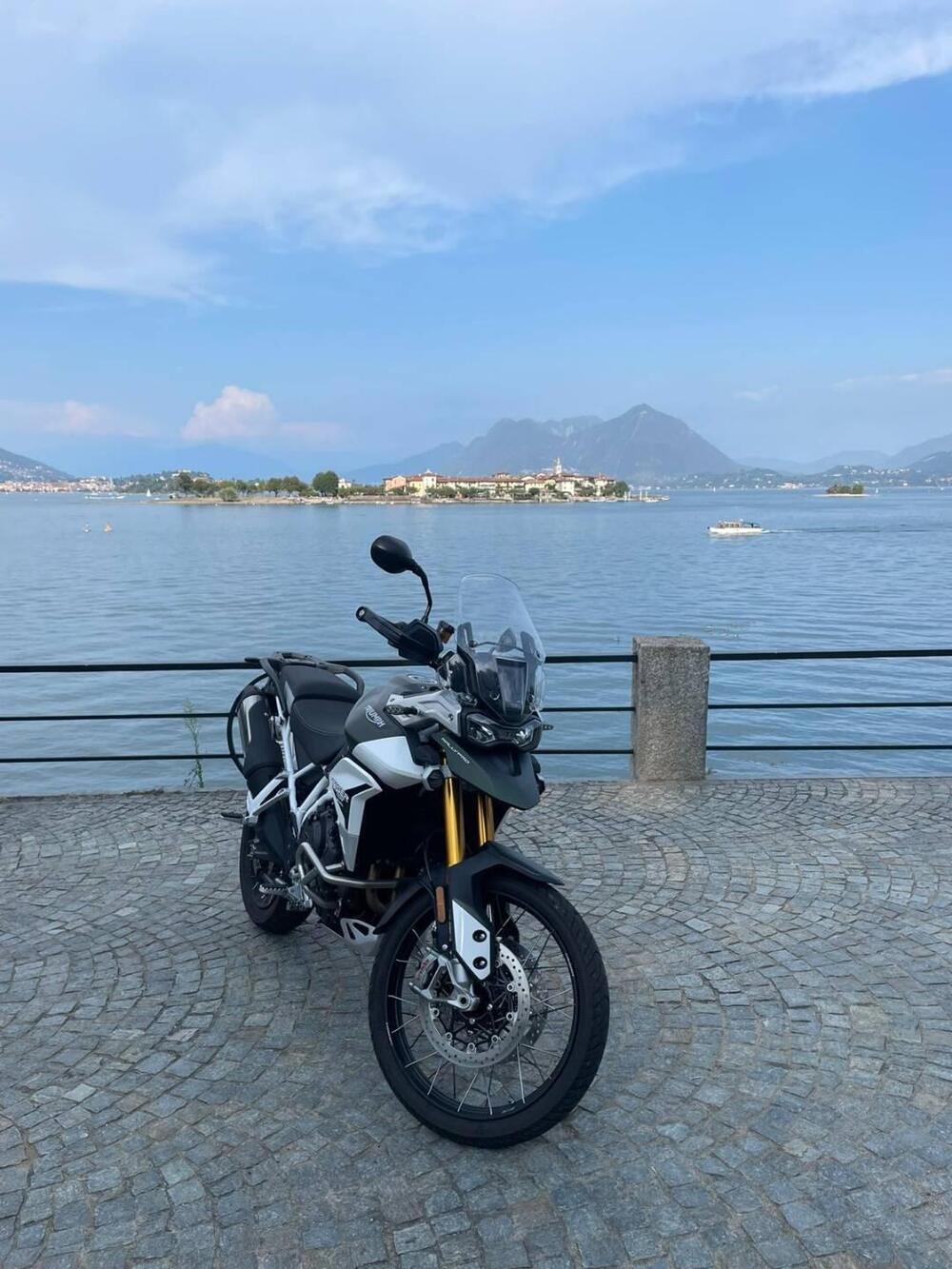 Triumph Tiger 900 Rally Pro (2020 - 23)
