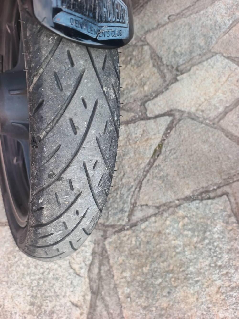 Harley-Davidson 750 Street Rod (2017 - 20) - XG 750 (6)