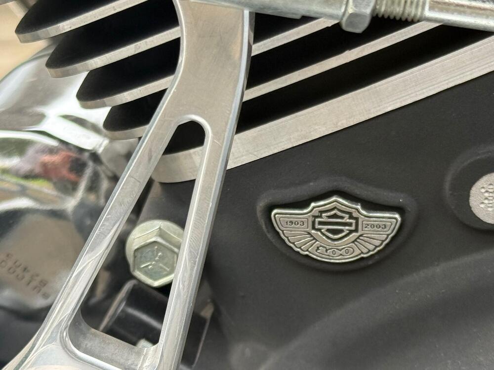 Harley-Davidson 1450 Springer (2002 - 04) - FXSTSI (3)