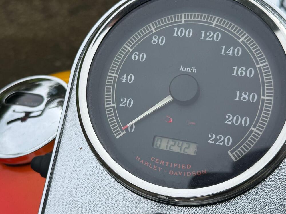 Harley-Davidson 1450 Springer (2002 - 04) - FXSTSI (5)