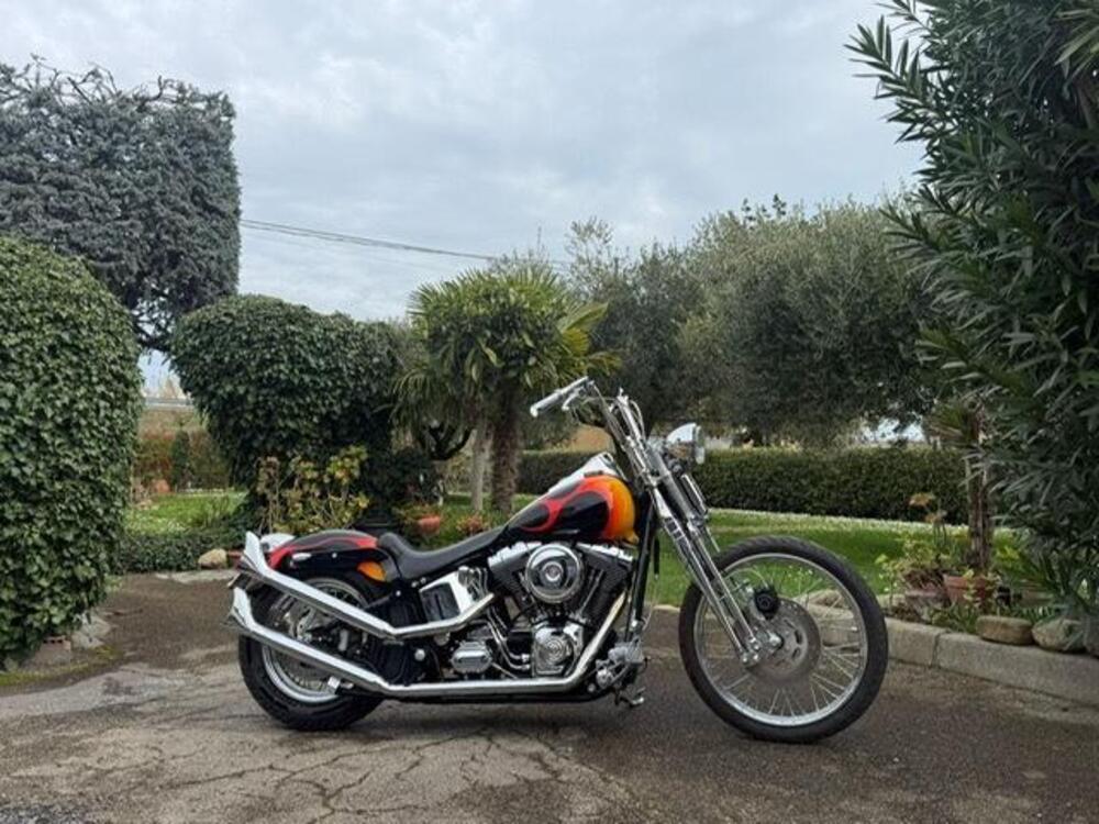 Harley-Davidson 1450 Springer (2002 - 04) - FXSTSI (13)