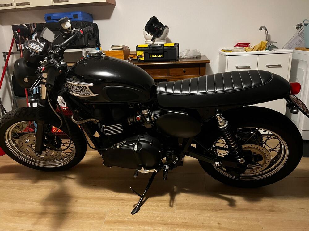 Triumph Bonneville T100 (2008 - 16) (13)