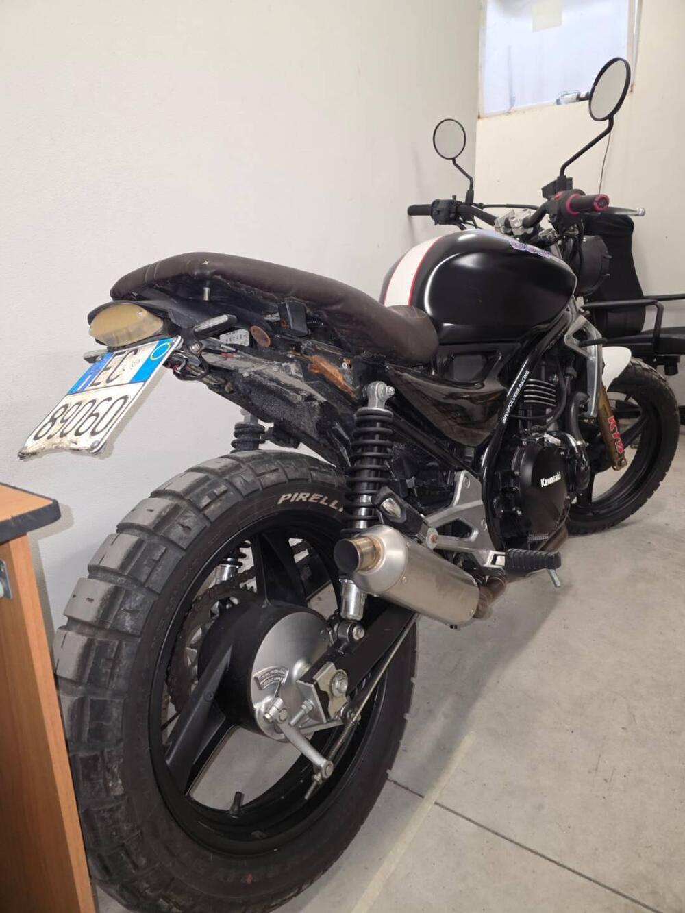 Kawasaki ER-5 500 (2001 - 06) (5)