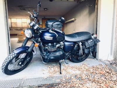 Triumph Scrambler (2006 - 17) usata