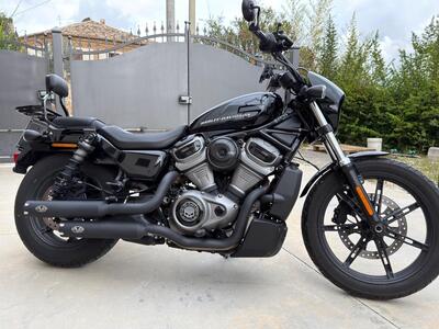 Harley-Davidson Nightster (2023 - 26) usata