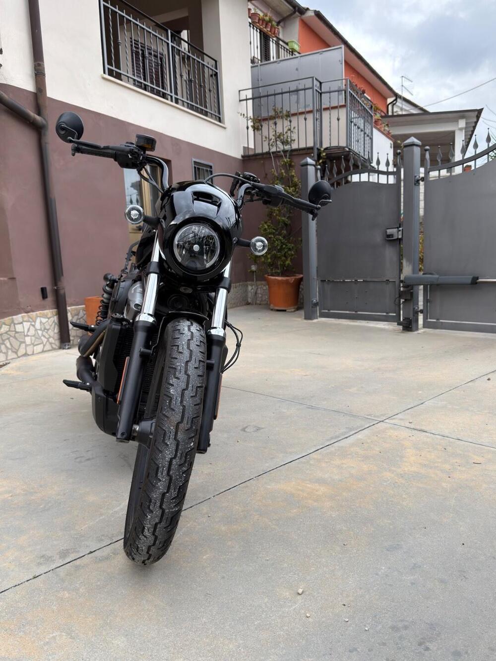 Harley-Davidson Nightster (2023 - 26) (2)