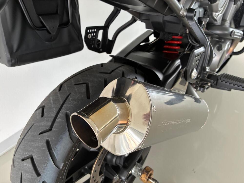 Harley-Davidson Pan America 1250 (2020 - 25) (8)