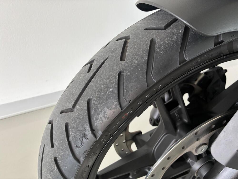 Harley-Davidson Pan America 1250 (2020 - 25) (17)