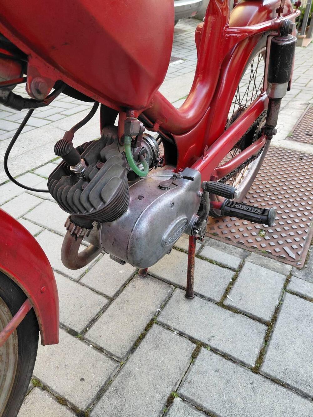 Gabbiano Gioiello (2)