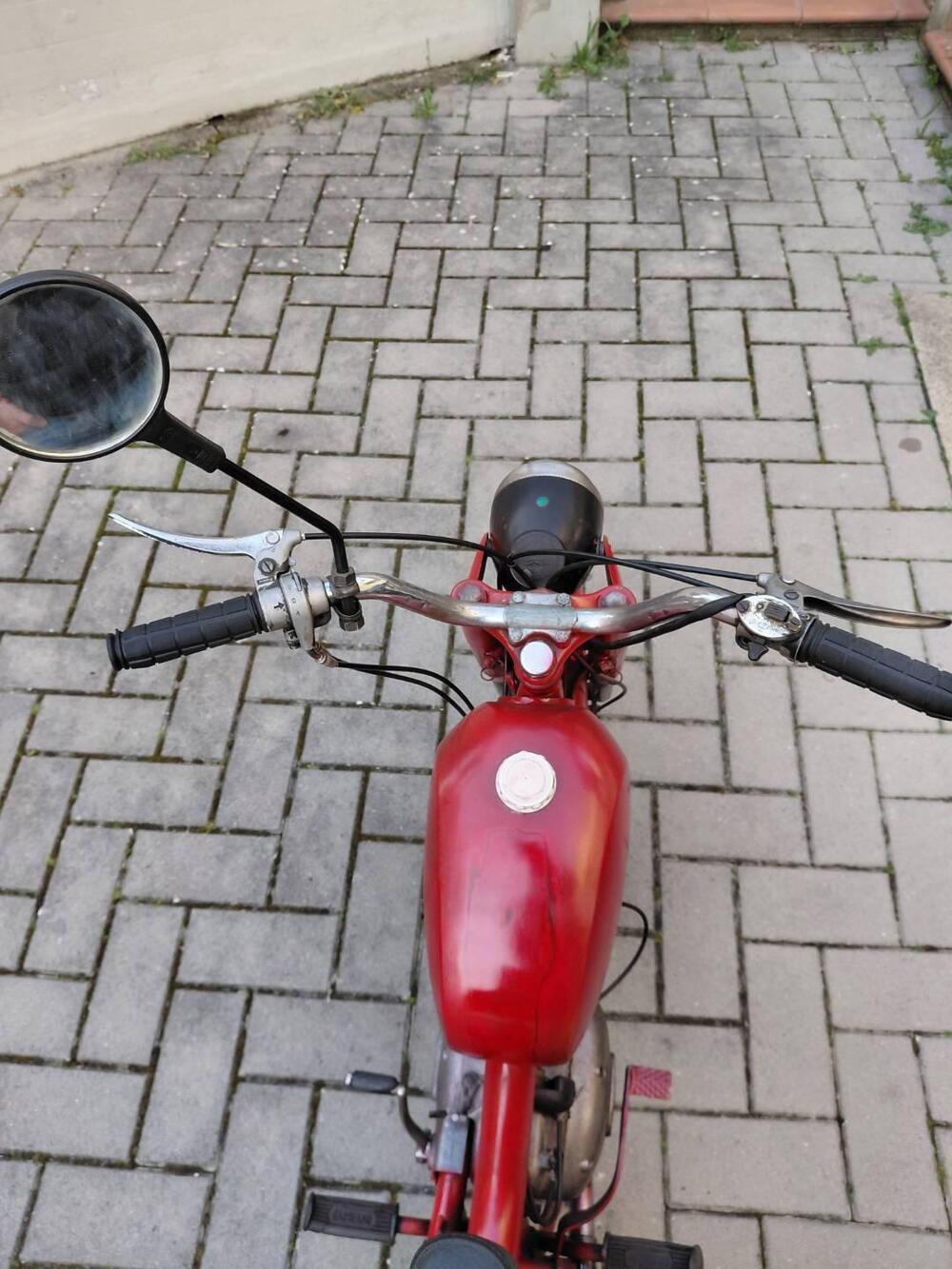 Gabbiano Gioiello (4)