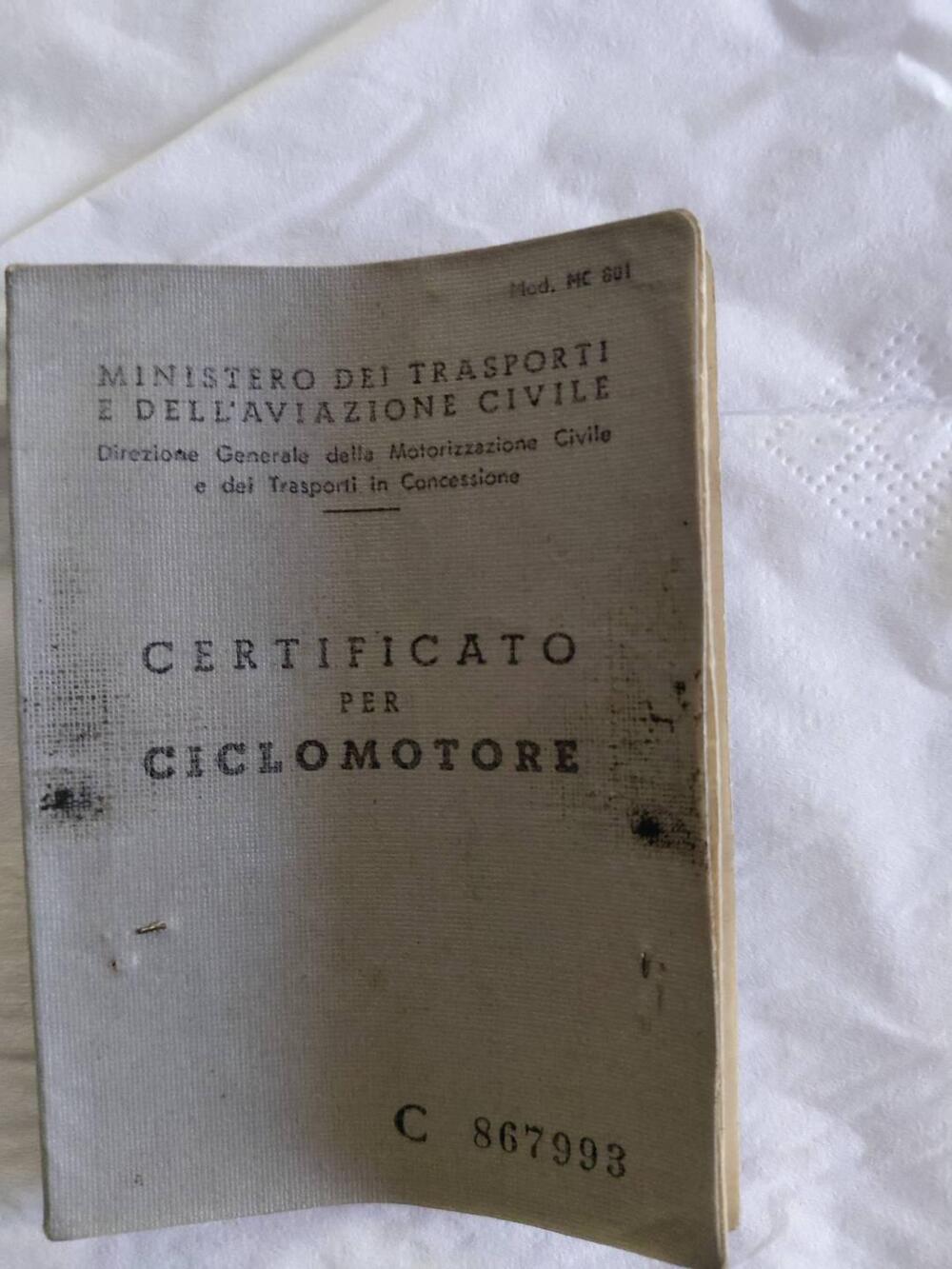 Gabbiano Gioiello (5)