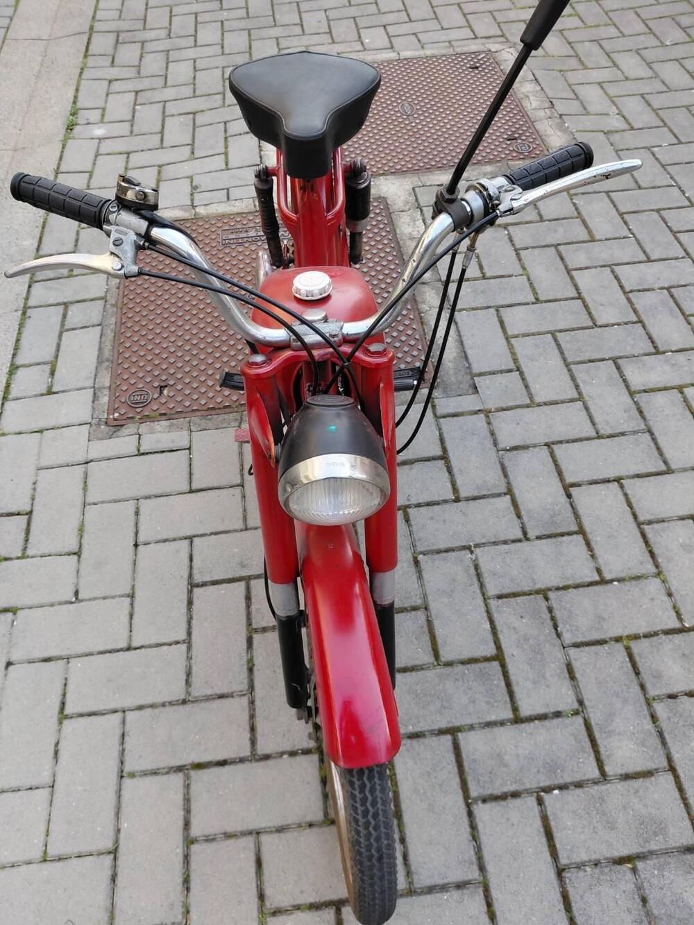 Gabbiano Gioiello (6)