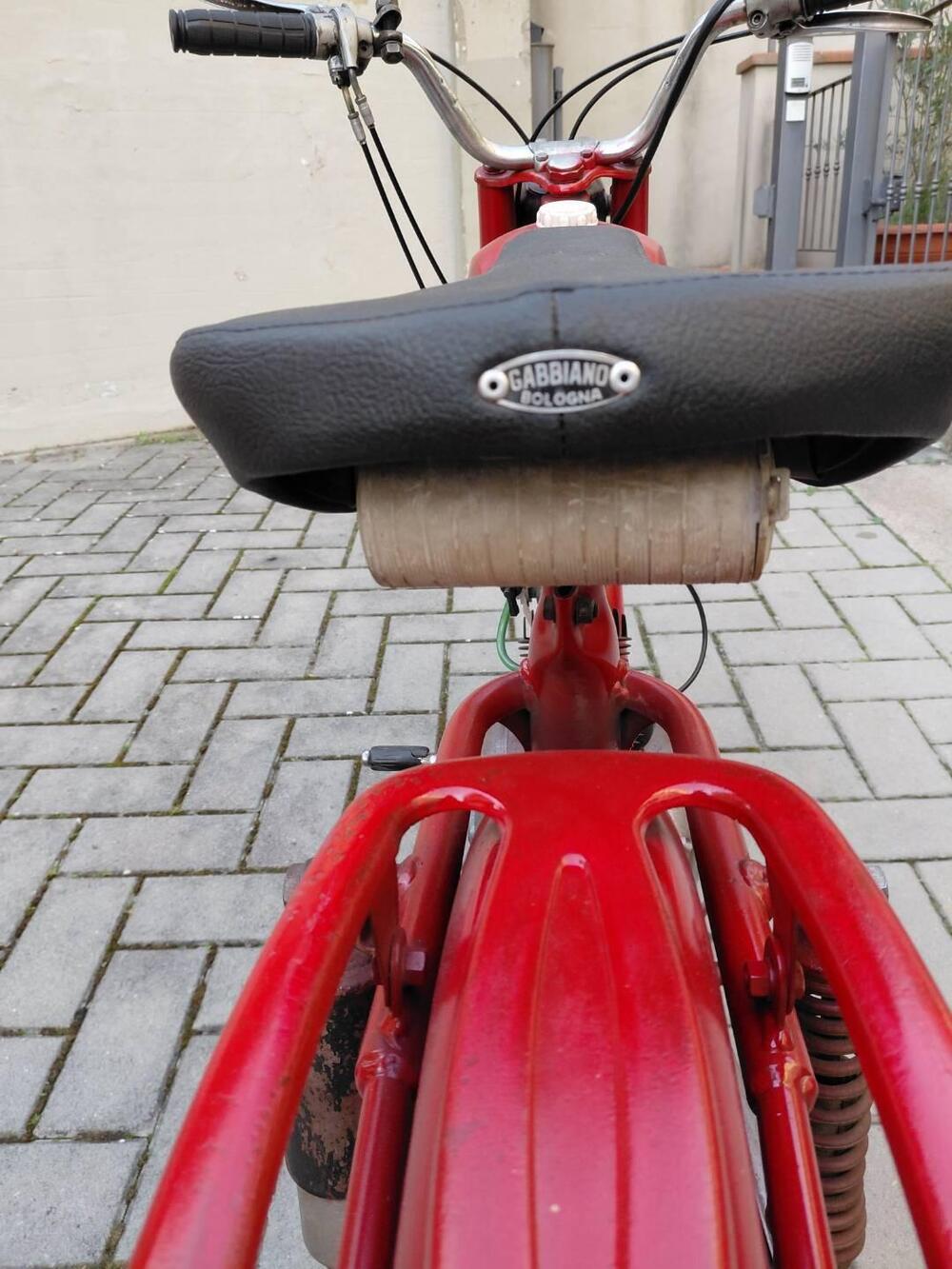 Gabbiano Gioiello (7)