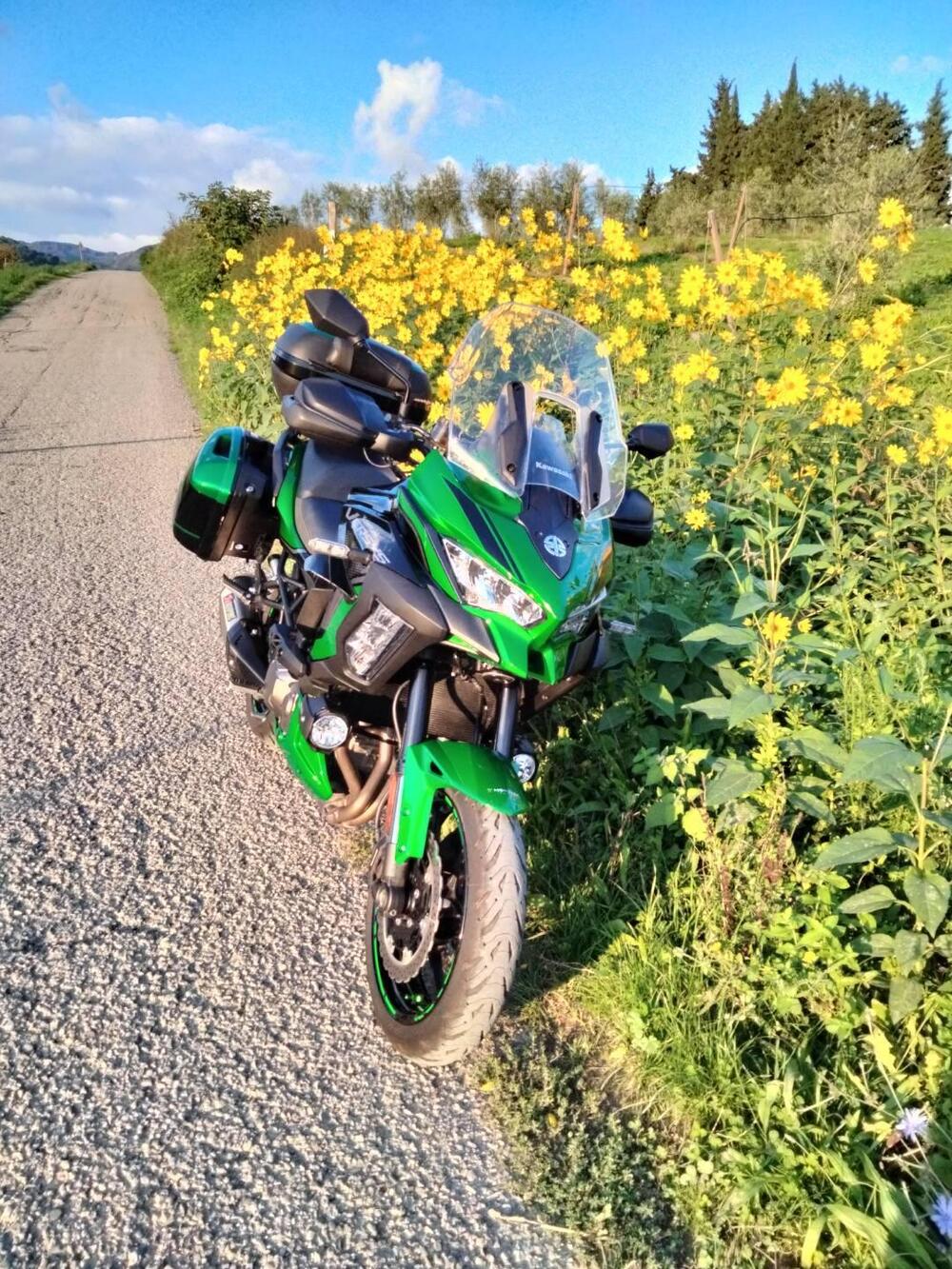 Kawasaki Versys 1000 S Grand Tourer (2022 - 24) (7)