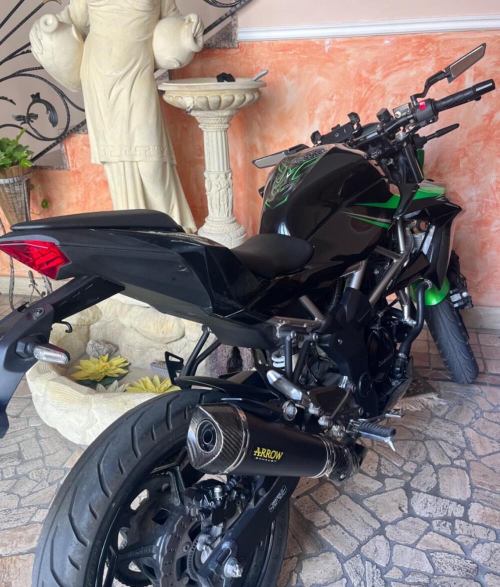 Kawasaki Z 125 (2021 - 24) (3)