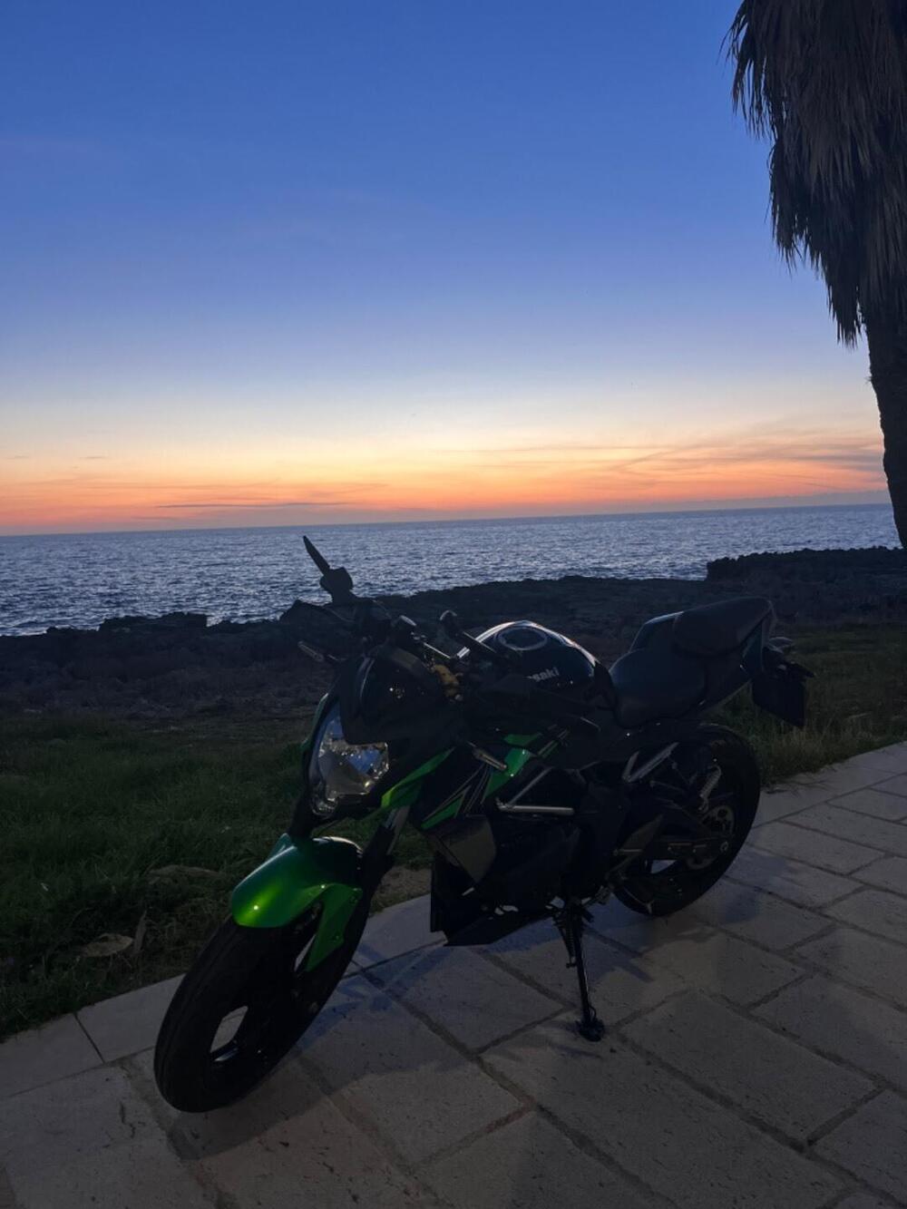 Kawasaki Z 125 (2021 - 24) (9)