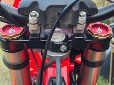 Betamotor RR 300 2T Enduro (2023) usata