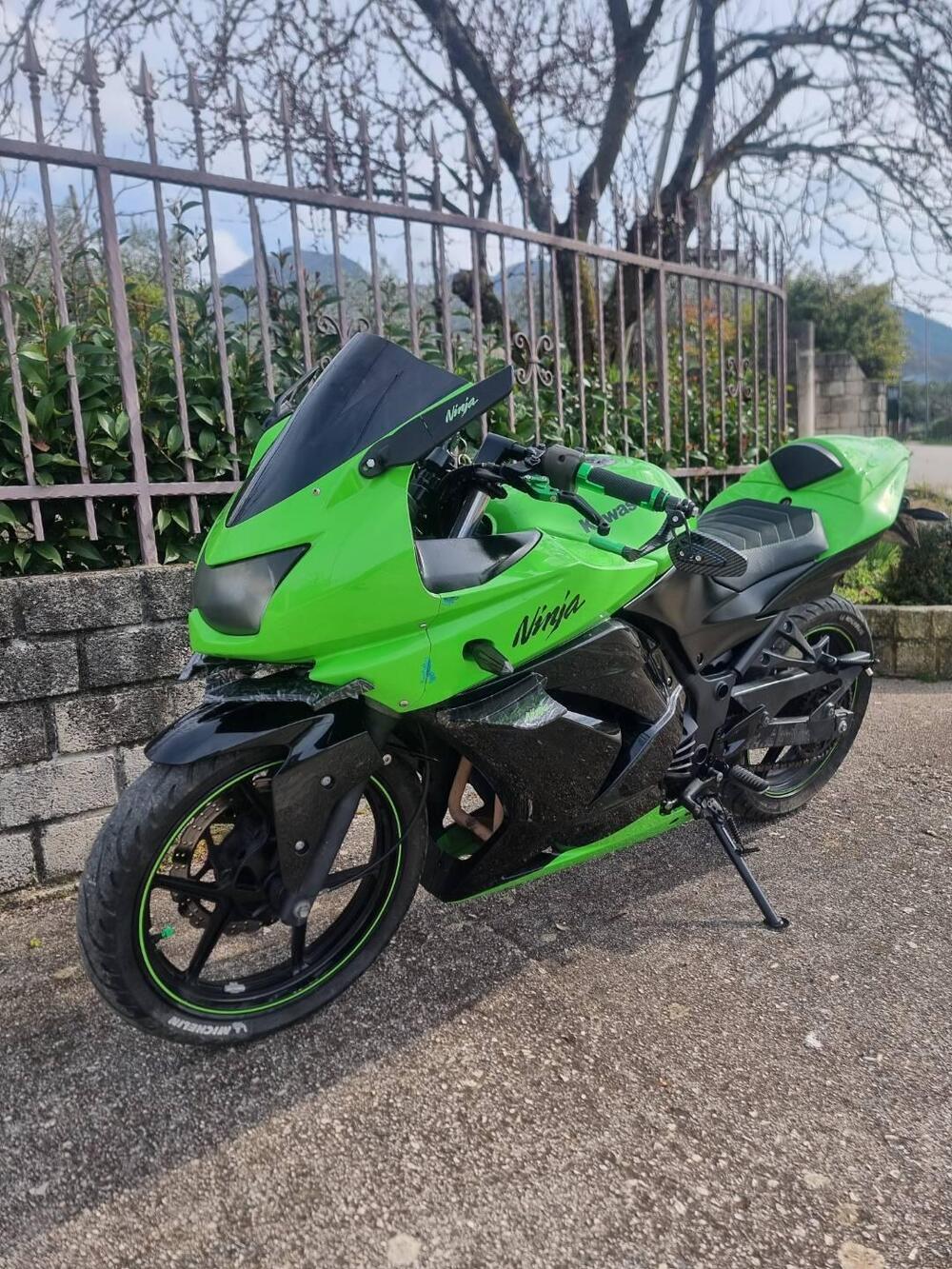 Kawasaki Ninja 250 R (2007 - 13)