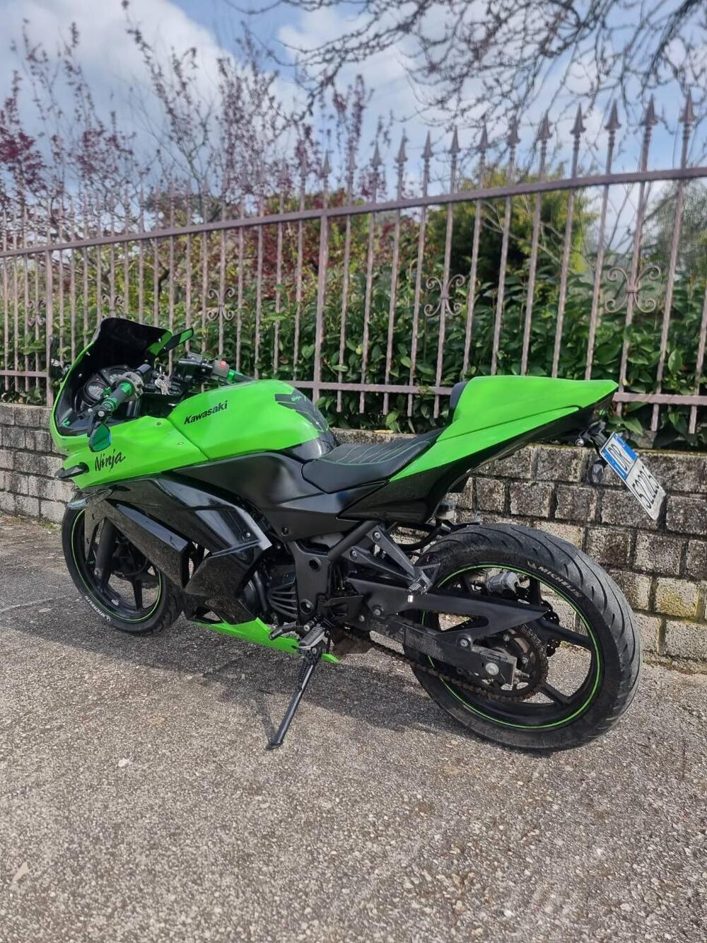 Kawasaki Ninja 250 R (2007 - 13) (2)