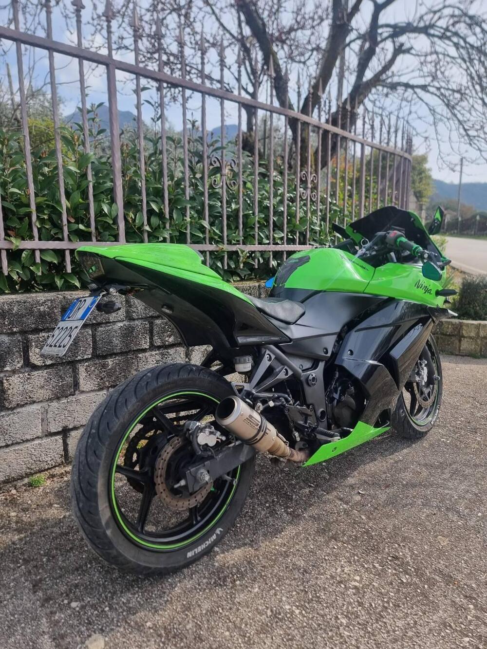 Kawasaki Ninja 250 R (2007 - 13) (3)