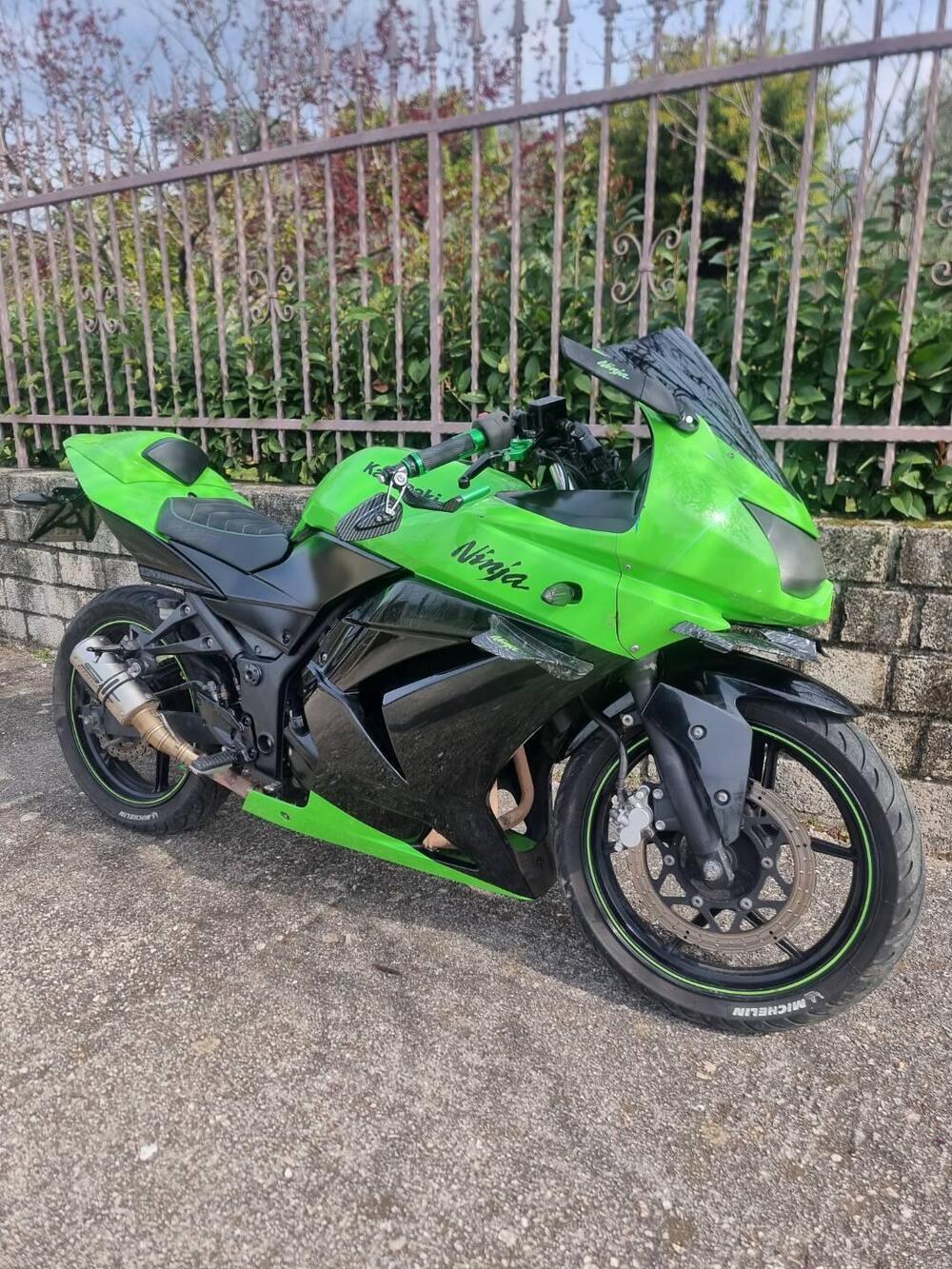 Kawasaki Ninja 250 R (2007 - 13) (4)