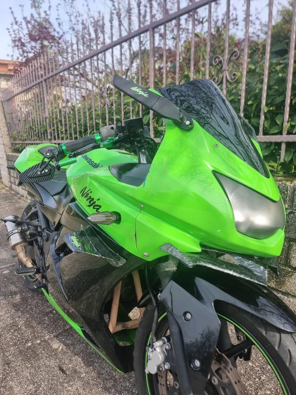 Kawasaki Ninja 250 R (2007 - 13) (7)