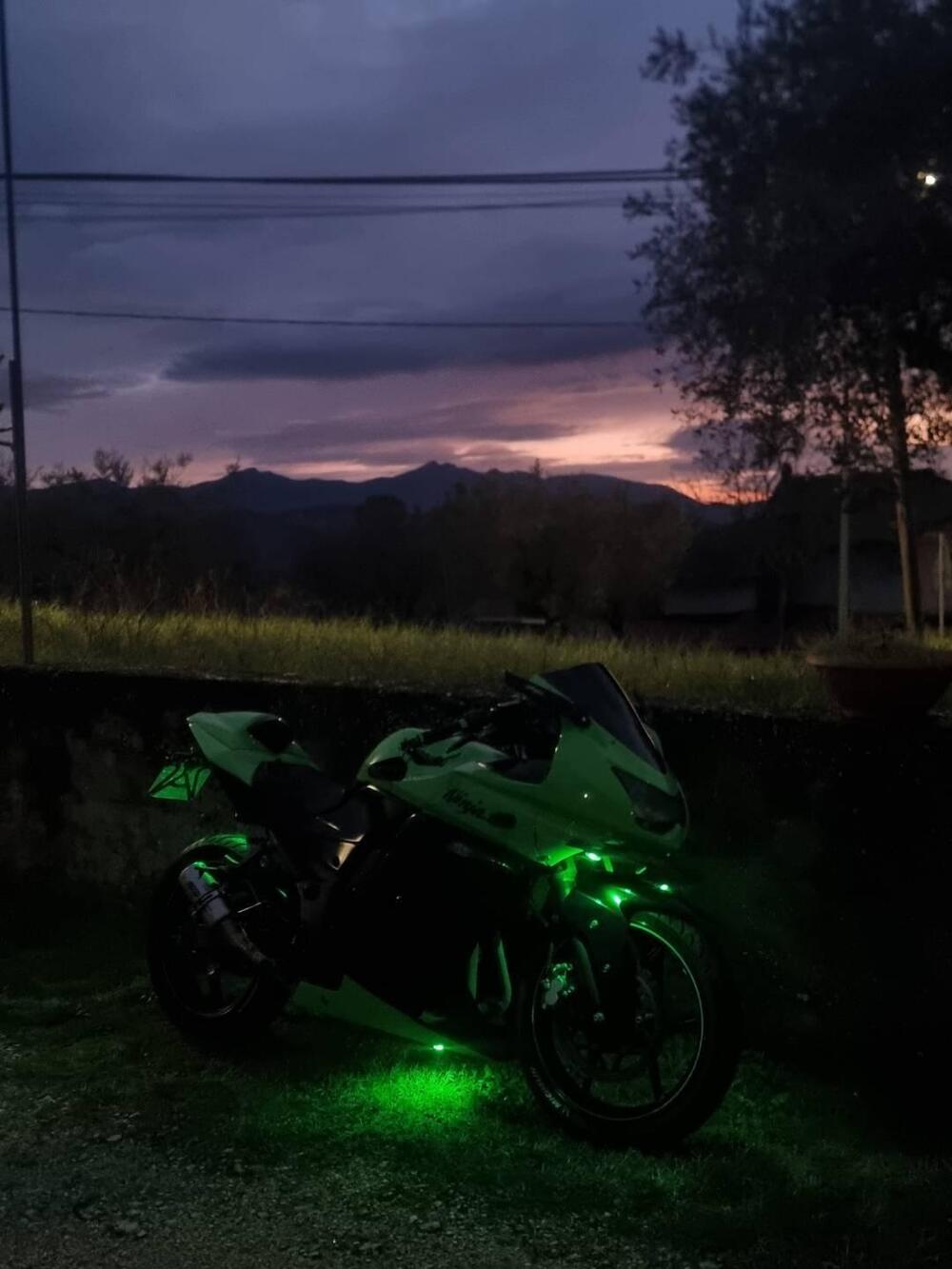 Kawasaki Ninja 250 R (2007 - 13) (8)