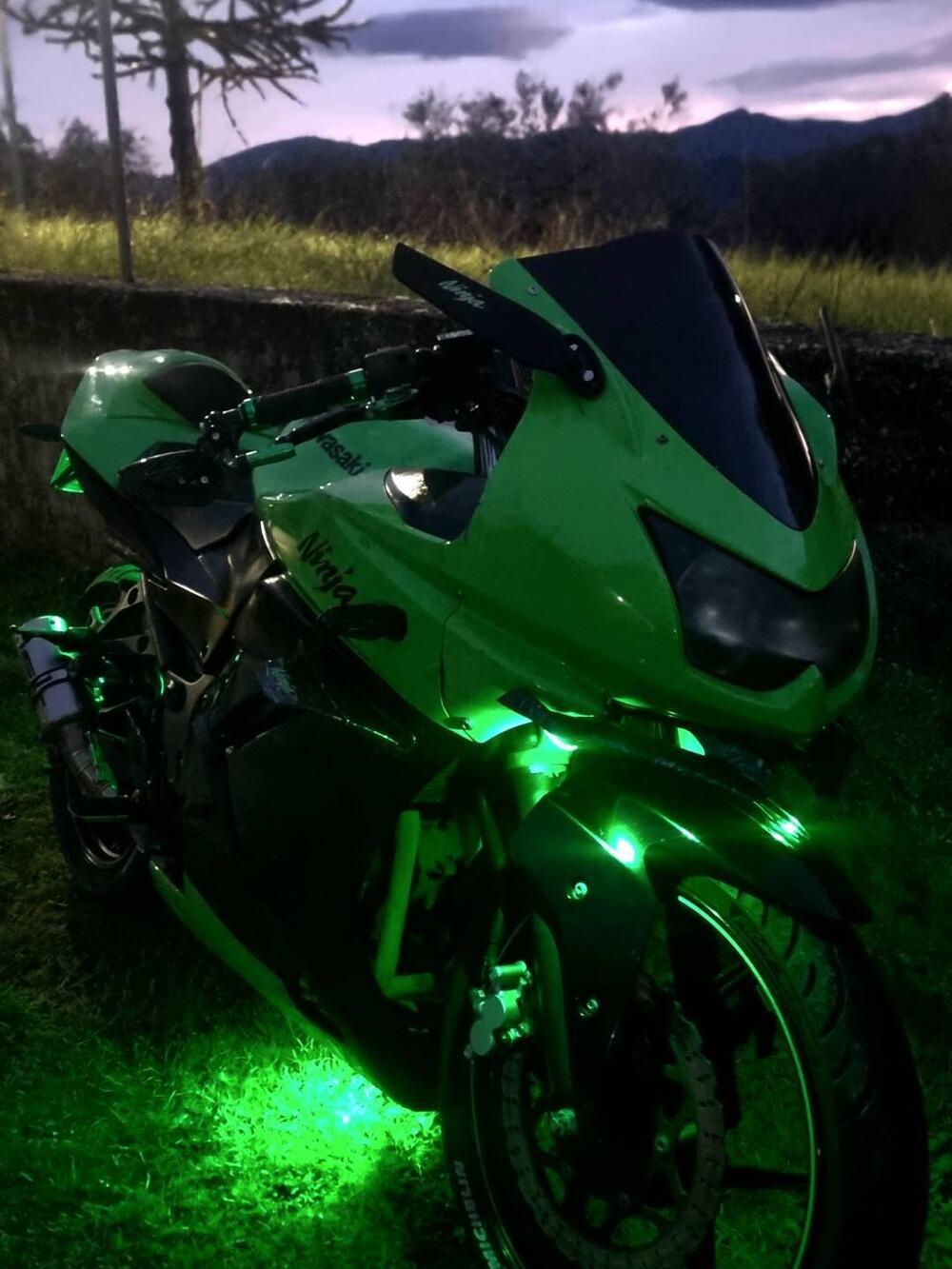 Kawasaki Ninja 250 R (2007 - 13) (9)