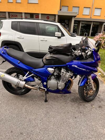Suzuki GSF 600 Bandit S (2000 - 05) usata