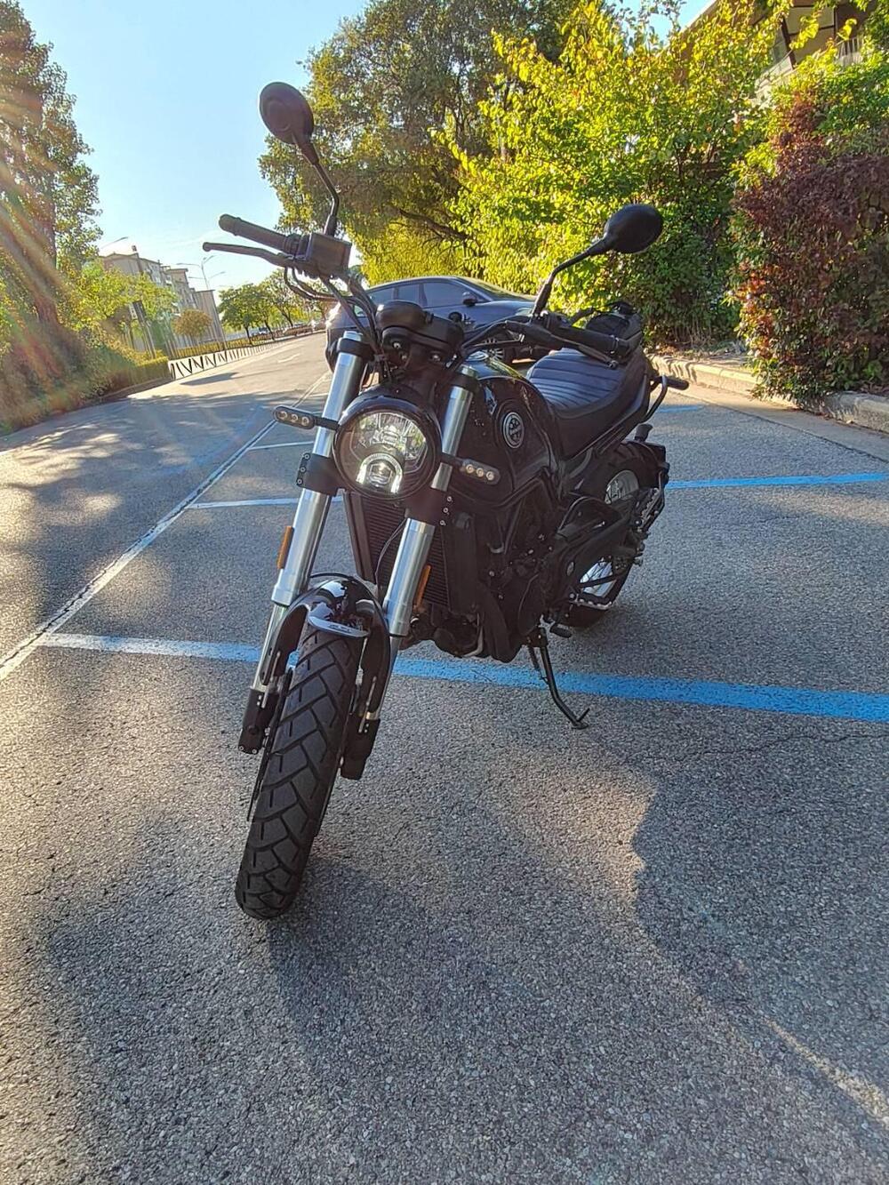 Benelli Leoncino 500 Trail (2021 - 26) (11)