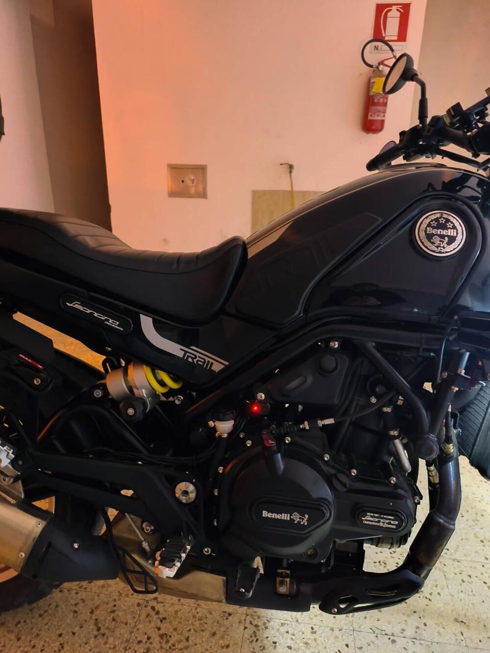 Benelli Leoncino 500 Trail (2021 - 26) (5)