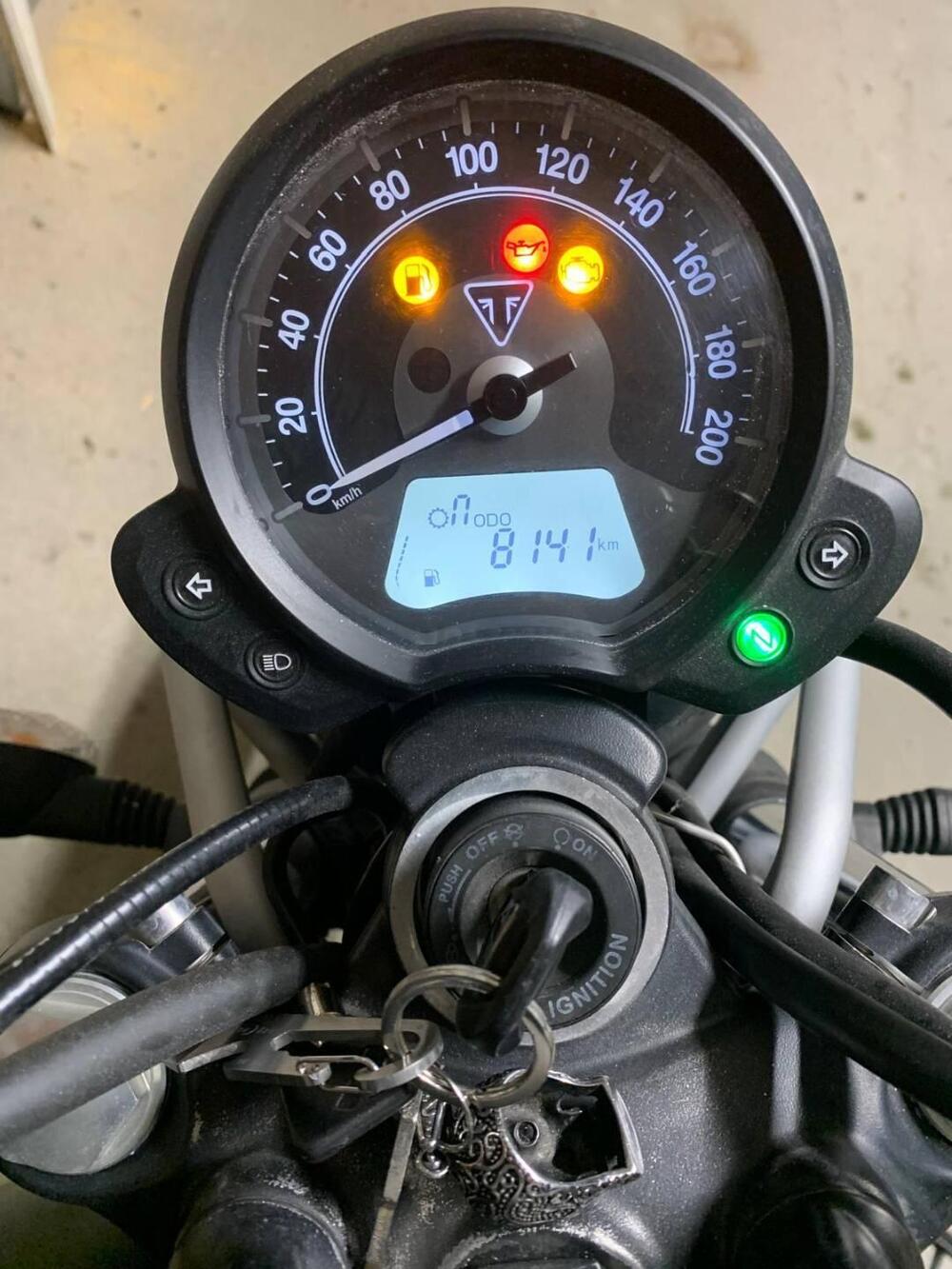 Triumph Scrambler 900 (2023 - 25) (8)