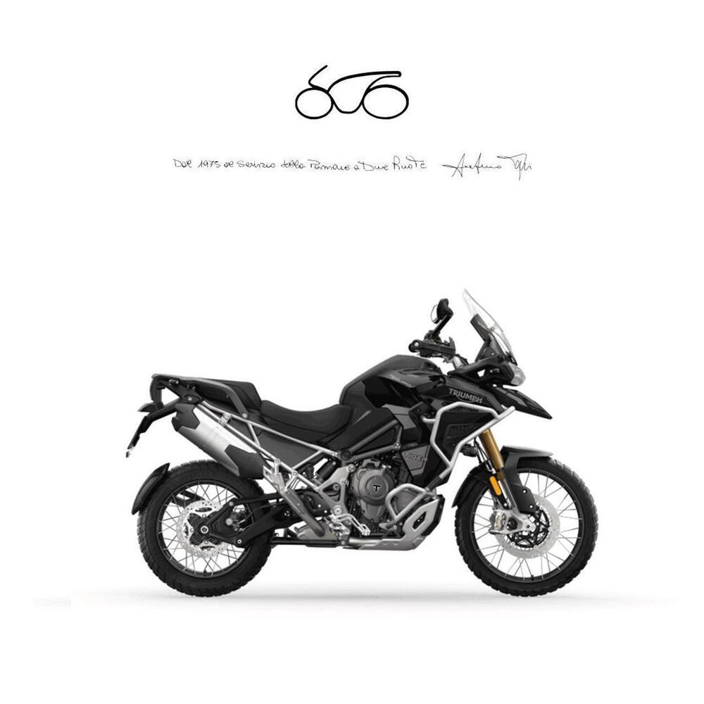 Triumph Tiger 1200 Rally Explorer (2024 - 26)