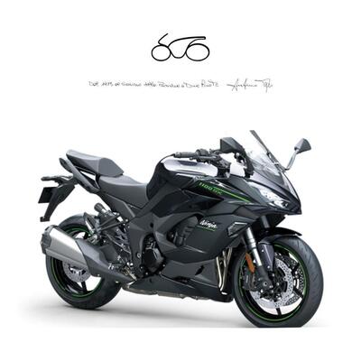 Kawasaki Ninja 1100 SX (2025 - 26) nuova