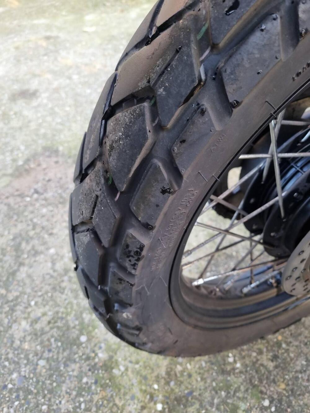 Brixton Motorcycles Cromwell 250 (2021 - 25) (16)